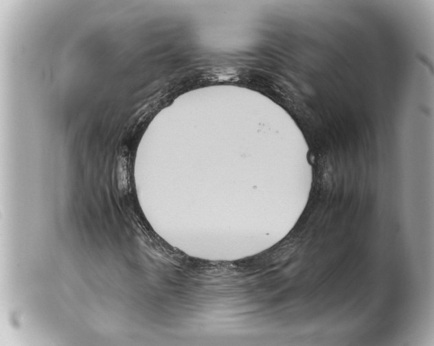 X0000099291442200805301101