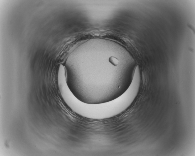 X0000099291444200805301101