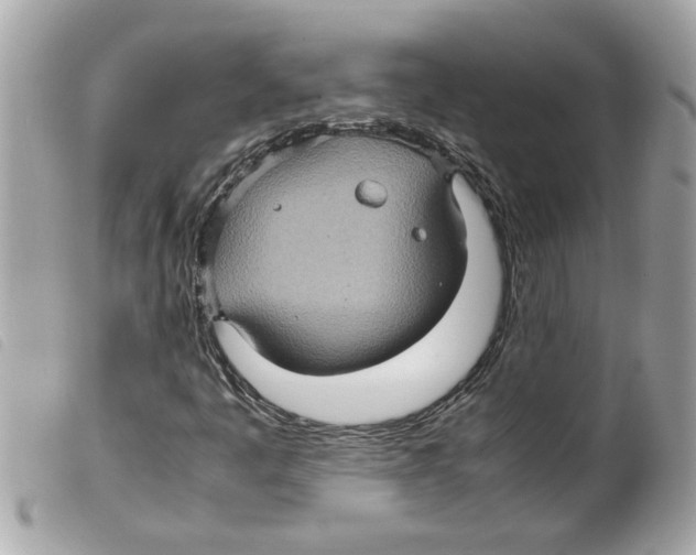 X0000099291445200805301101