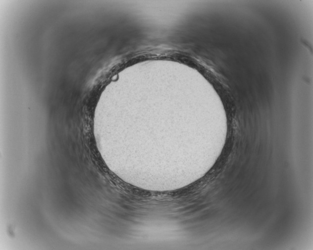 X0000099291447200805301101