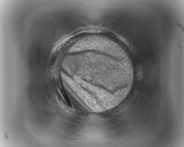 X0000099291448200805301101