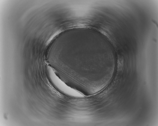 X0000099291450200805301101