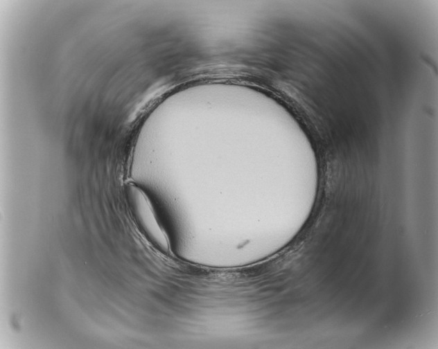 X0000099291451200805301101