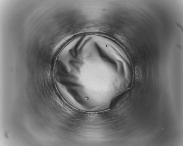 X0000099291452200805301101