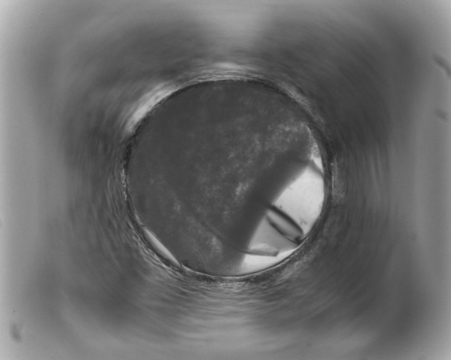 X0000099291453200805301101