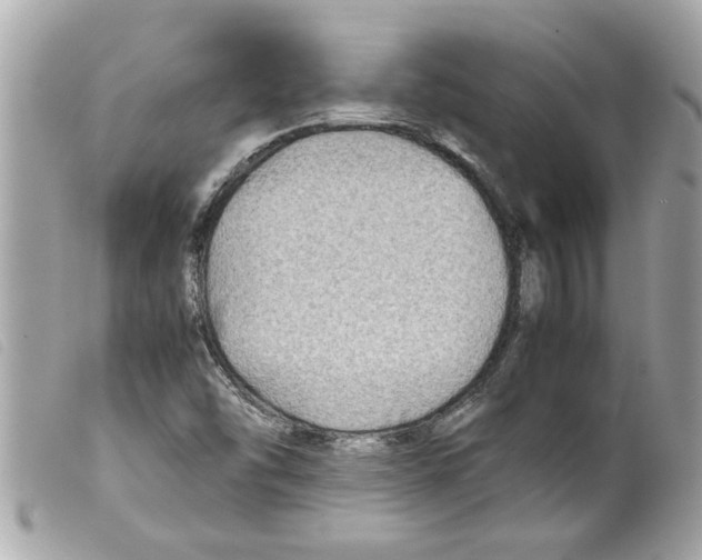 X0000099291454200805301101