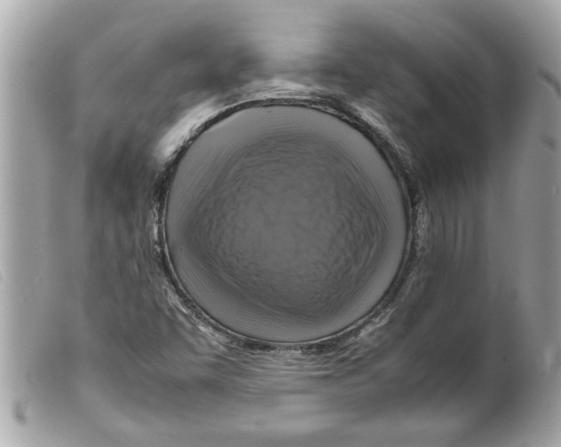 X0000099291455200805301101