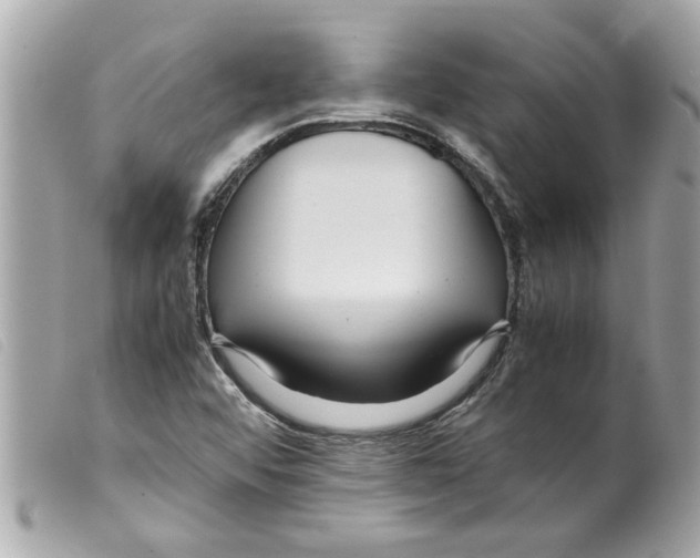 X0000099291456200805301101