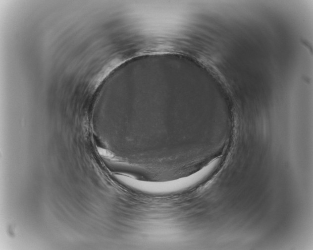 X0000099291457200805301101