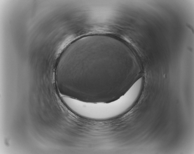 X0000099291459200805301101