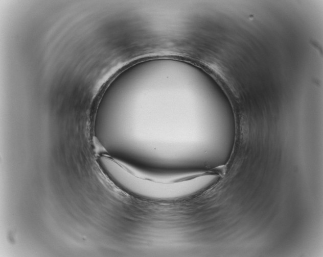 X0000099291460200805301101