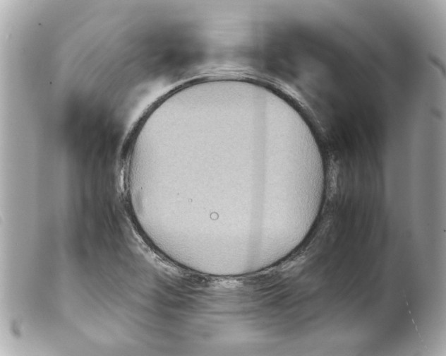 X0000099291462200805301101