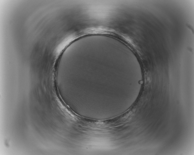 X0000099291463200805301101