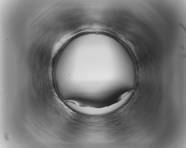 X0000099291464200805301101