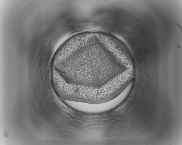 X0000099291467200805301101