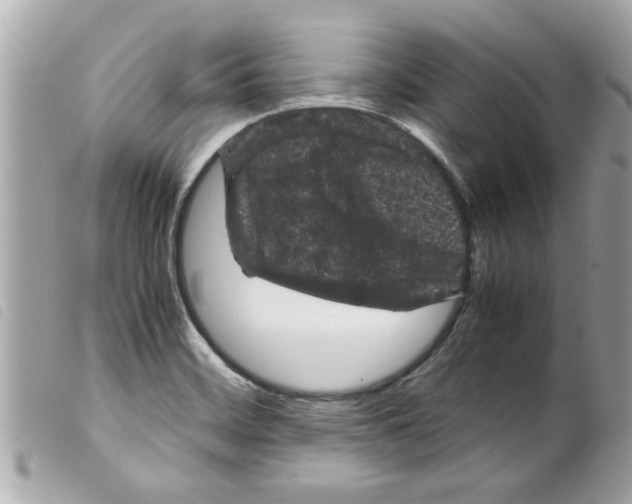 X0000099291468200805301101