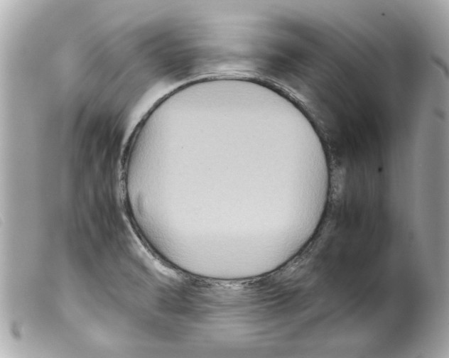 X0000099291470200805301101