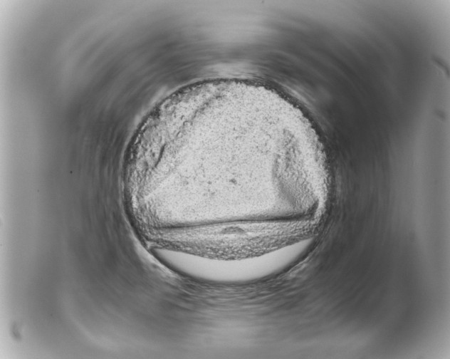 X0000099291471200805301101