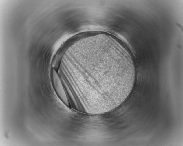 X0000099291472200805301101