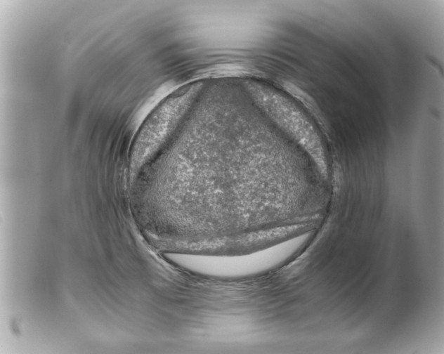 X0000099291473200805301101