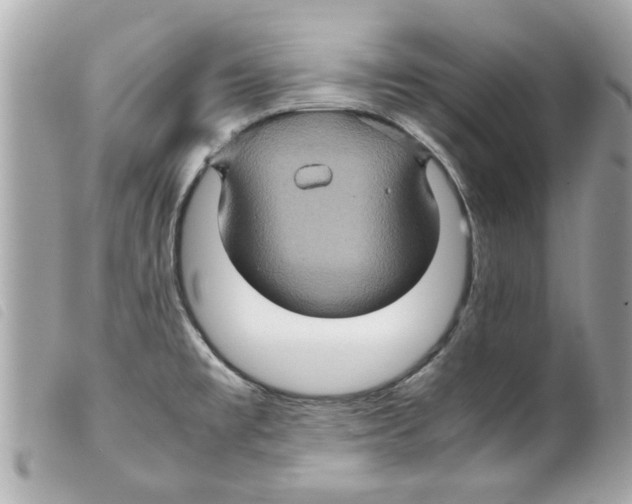 X0000099291477200805301101