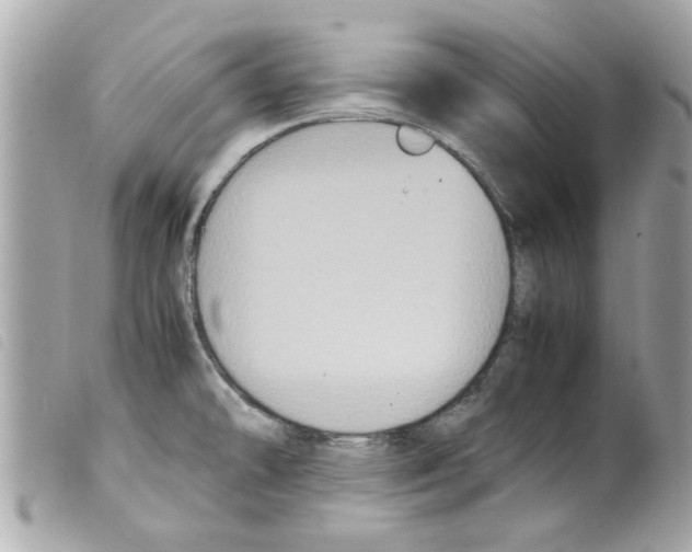 X0000099291478200805301101