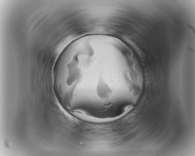 X0000099291479200805301101