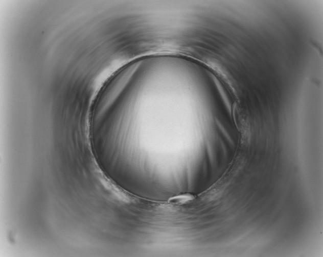 X0000099291480200805301101