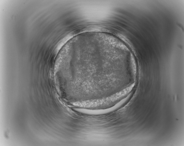 X0000099291481200805301101