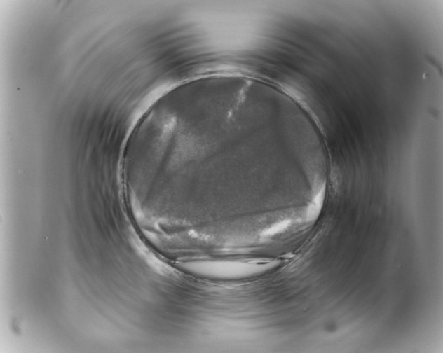 X0000099291482200805301101