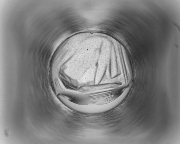 X0000099291483200805301101