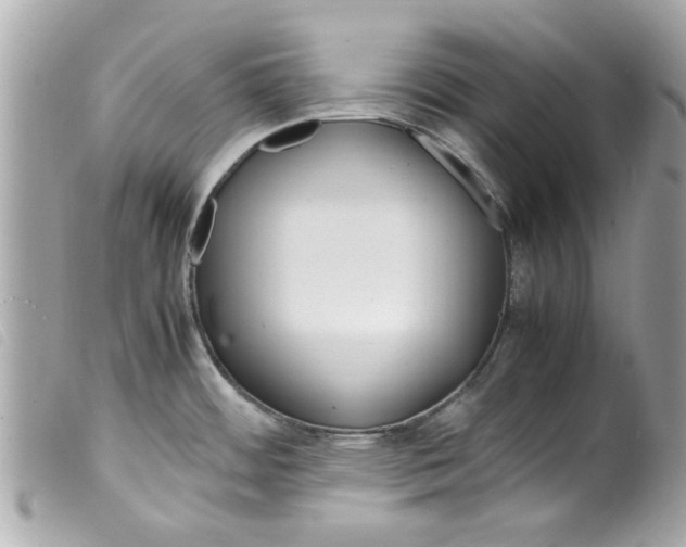 X0000099291484200805301101