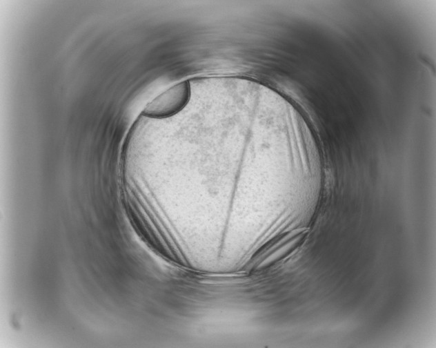 X0000099291487200805301101