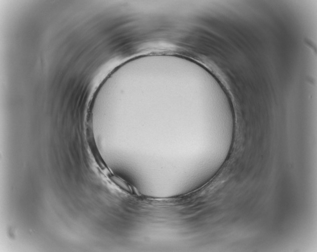 X0000099291488200805301101