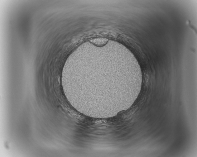 X0000099291489200805301100