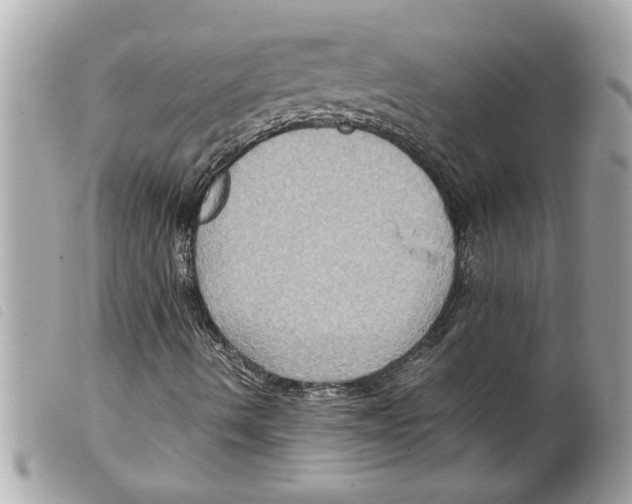 X0000099291490200805301100