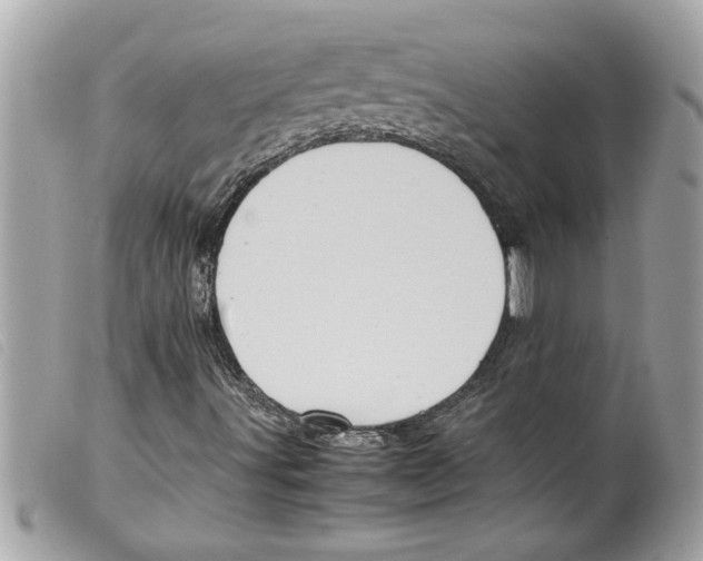 X0000099291491200805301100