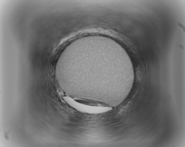 X0000099291494200805301100