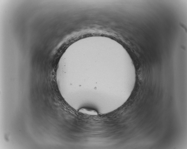 X0000099291495200805301100