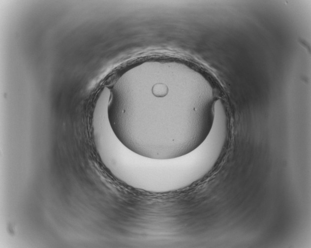 X0000099291496200805301100