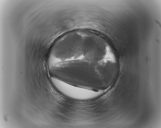 X0000099291497200805301100