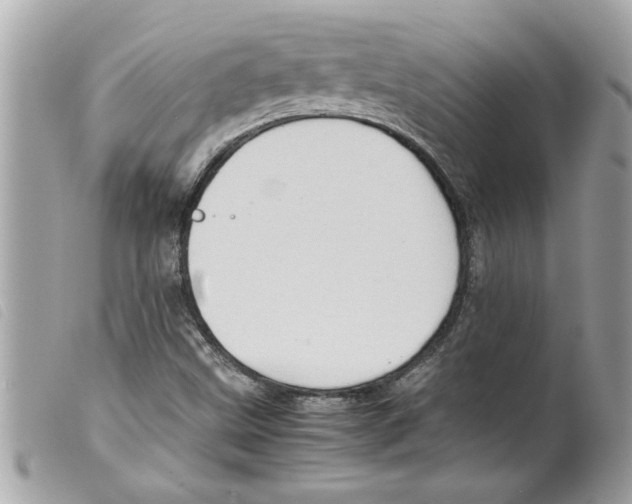 X0000099291499200805301100