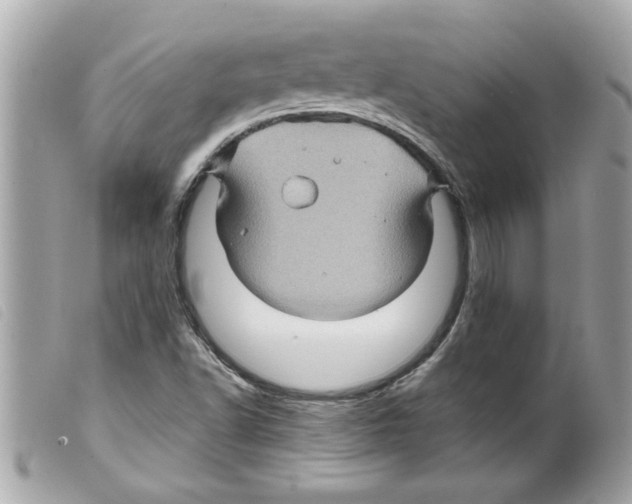 X0000099291502200805301100