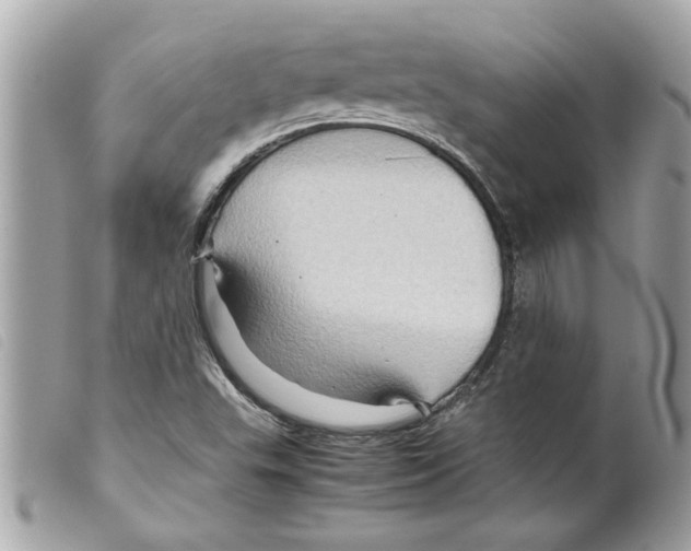 X0000099291503200805301100