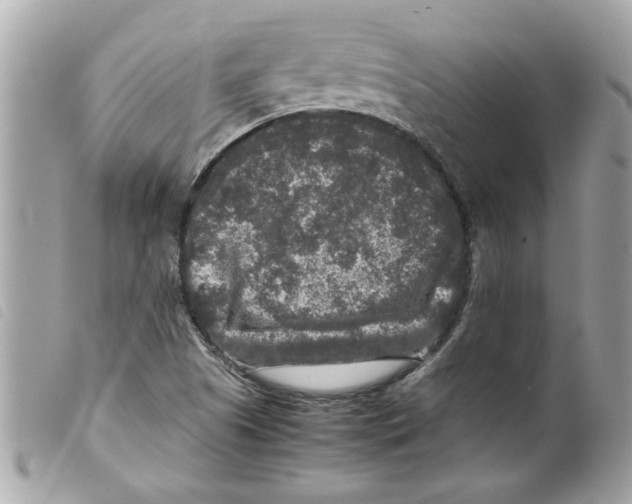 X0000099291505200805301100