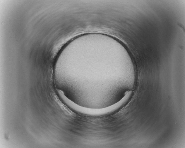 X0000099291507200805301100