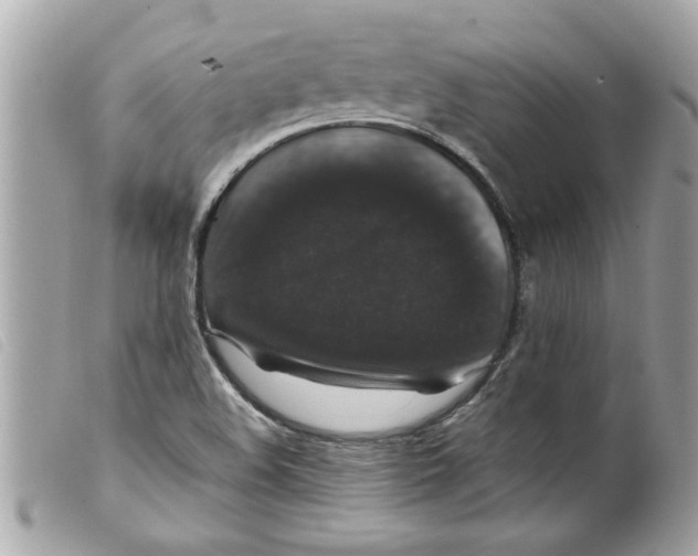 X0000099291508200805301100