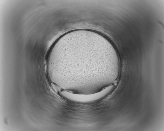 X0000099291509200805301100