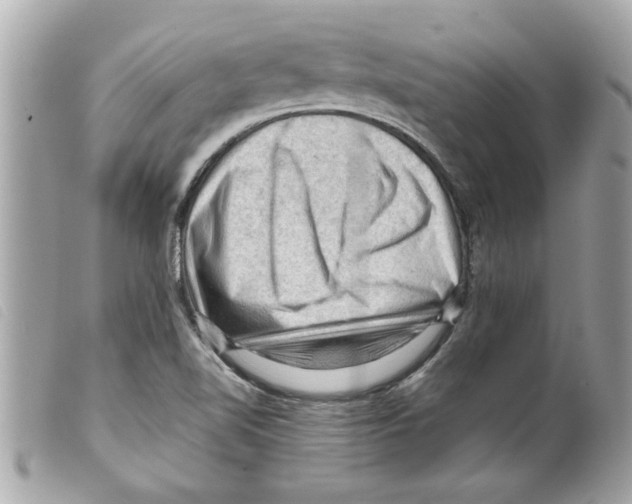 X0000099291510200805301100