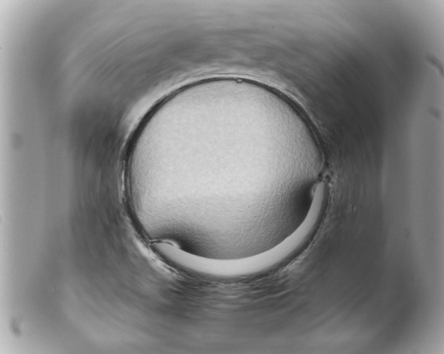 X0000099291511200805301100